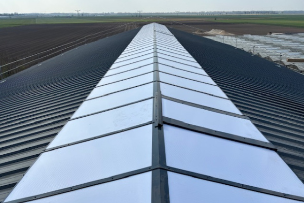 Brouwer Lichtstraten