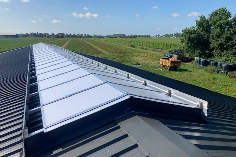 Brouwer Lichtstraten